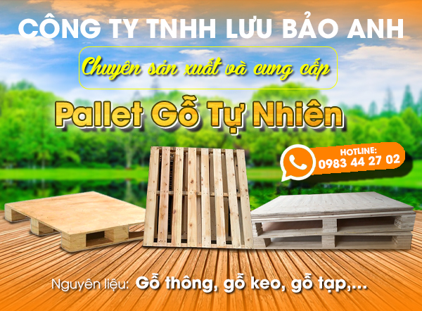 CÔNG TY TNHH LƯU BẢO ANH